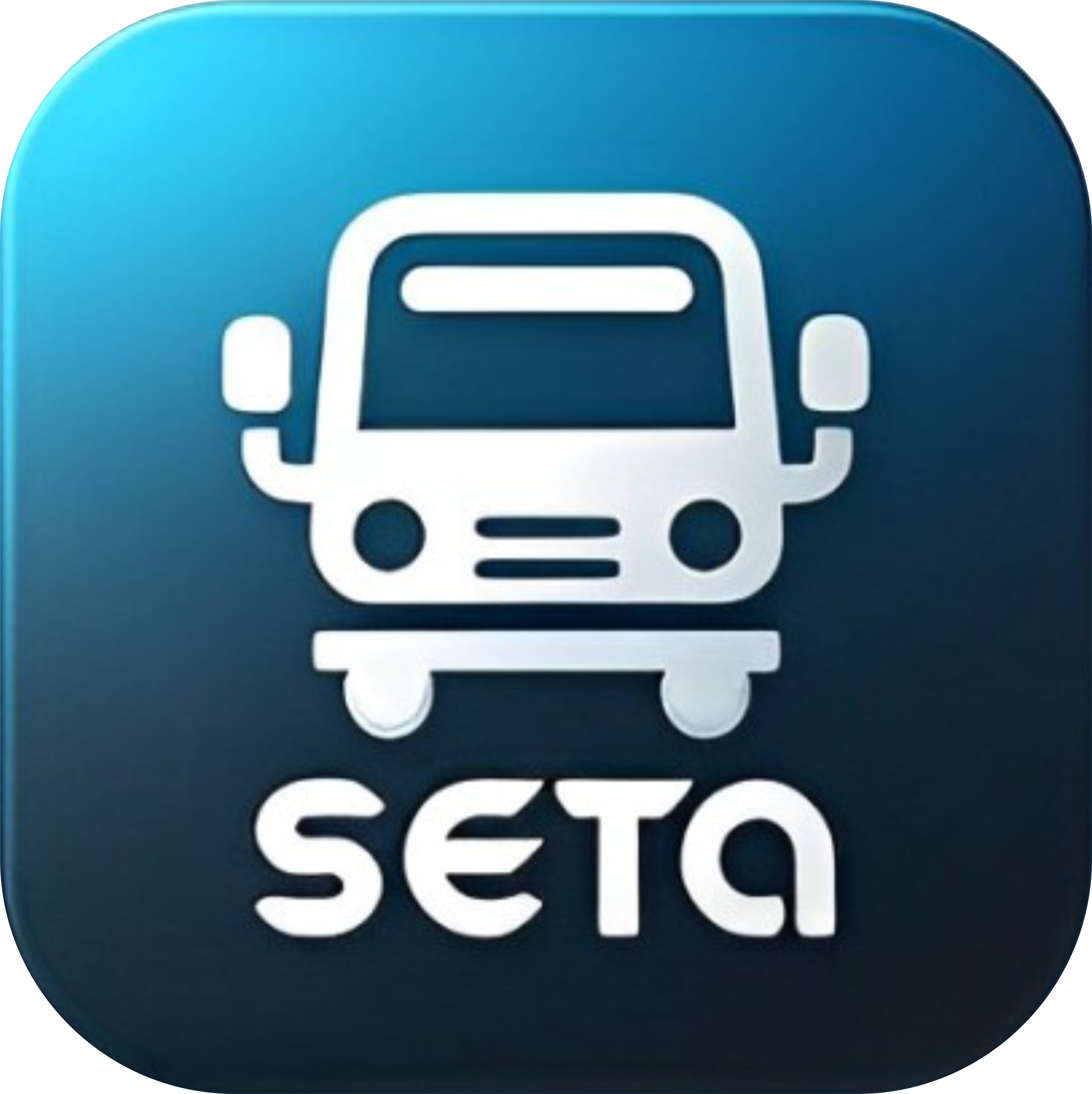 logo seta
